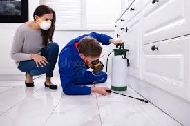 Emergency Pest Control Services in Pocola, OK